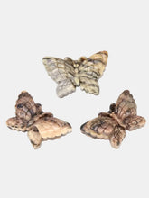 Leopard Skin Jasper Butterfly