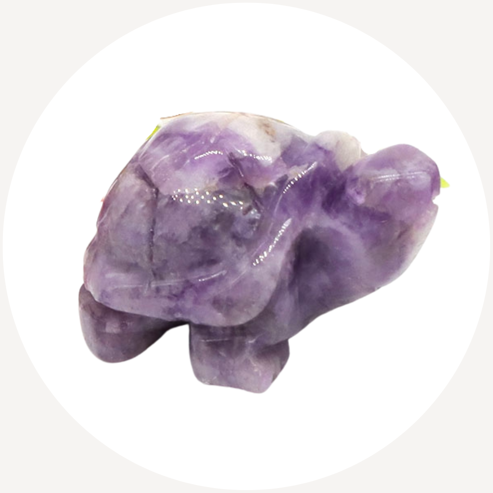 crystal turtles