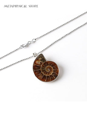 Ammonite necklace