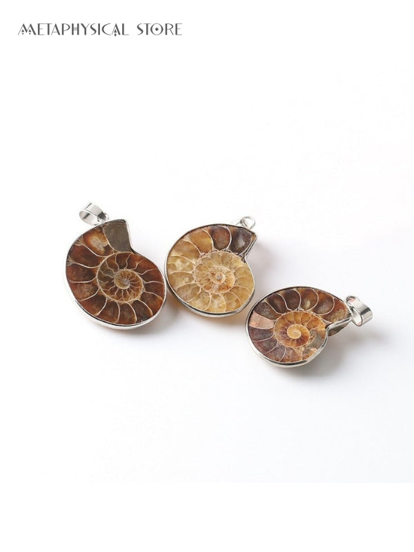 Ammonite necklace