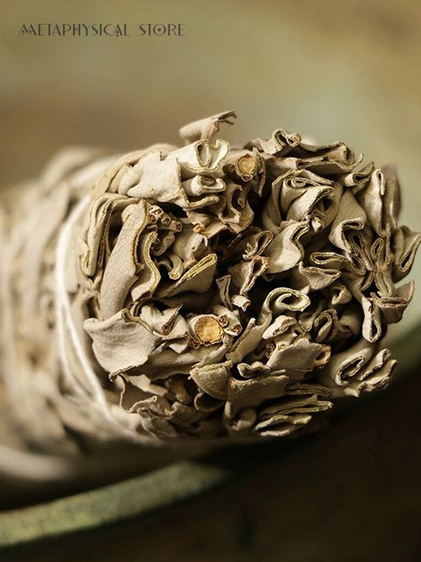 White sage smudge sticks
